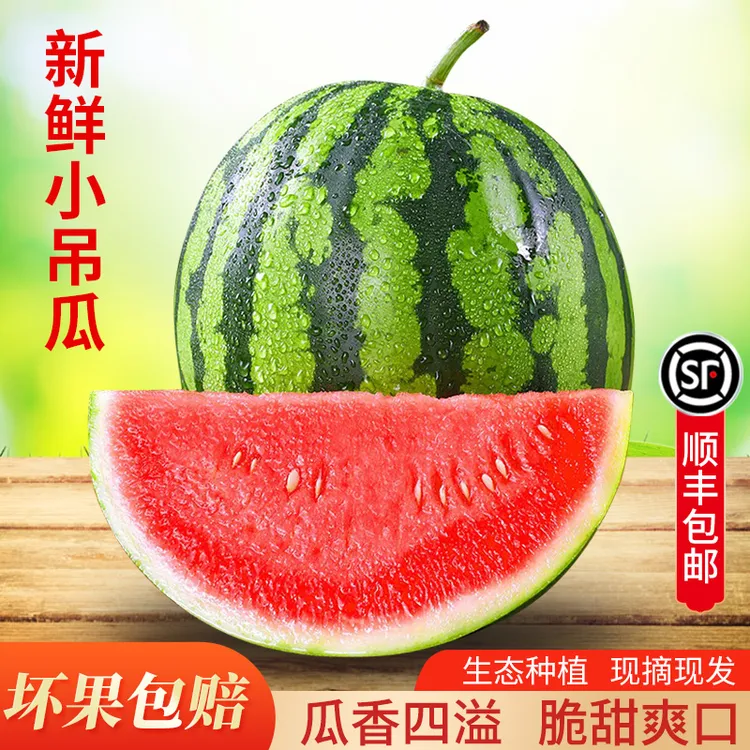 糖丸手掰瓜精品现摘颗颗精选家庭超值清甜口口薄皮坏果包赔性价比