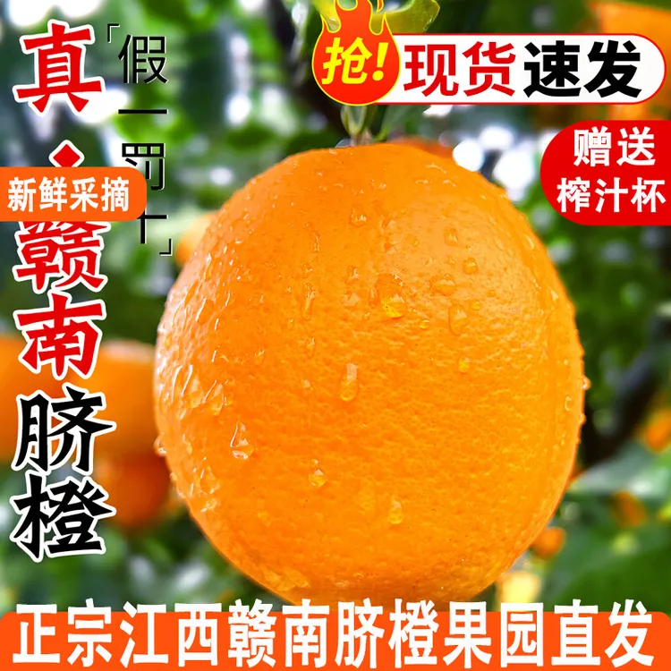 赣南脐橙正宗江西产地直发新鲜当季水果手剥橙子香甜无渣现摘现发