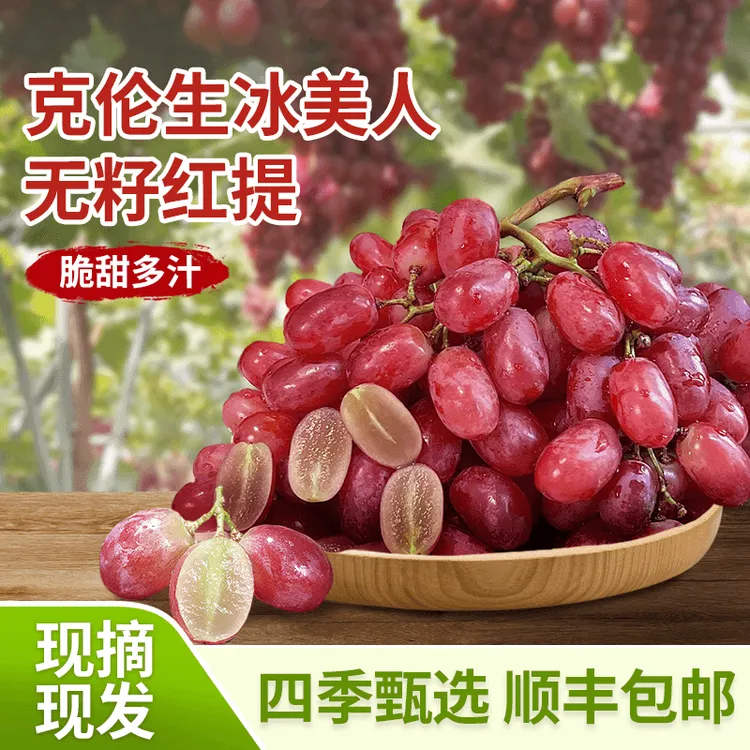【果园直发3斤5斤】高品质克伦生无籽纯甜无酸冰美人葡萄现摘现发