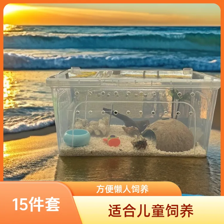 寄居蟹新手饲养套装箱盒懒人萌宠儿童礼物15件套