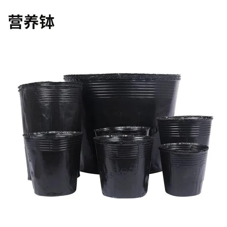 大号耐用育苗盆黑色营养钵塑料种植杯加厚育苗袋一次性花盆园艺用