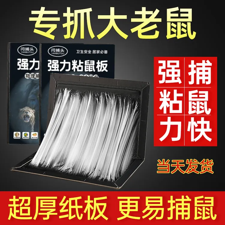 加胶冬季黑色老鼠加大粘鼠板粘鼠板强力胶粘大老鼠