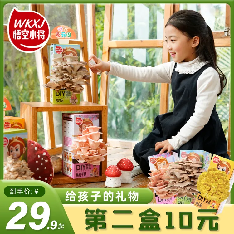 悟空小将【老少皆宜】DIY家庭种植蘑菇菌包蘑菇盒种植蘑菇种植菌包