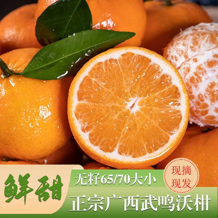 无籽广西武鸣沃柑当季新鲜汁多香甜水果年货送礼佳品现摘现发包邮