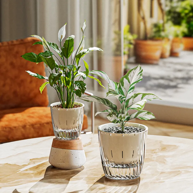 懒人多肉植物自吸水花盆透明水培器皿塑料玻璃水养专用设计感花瓶