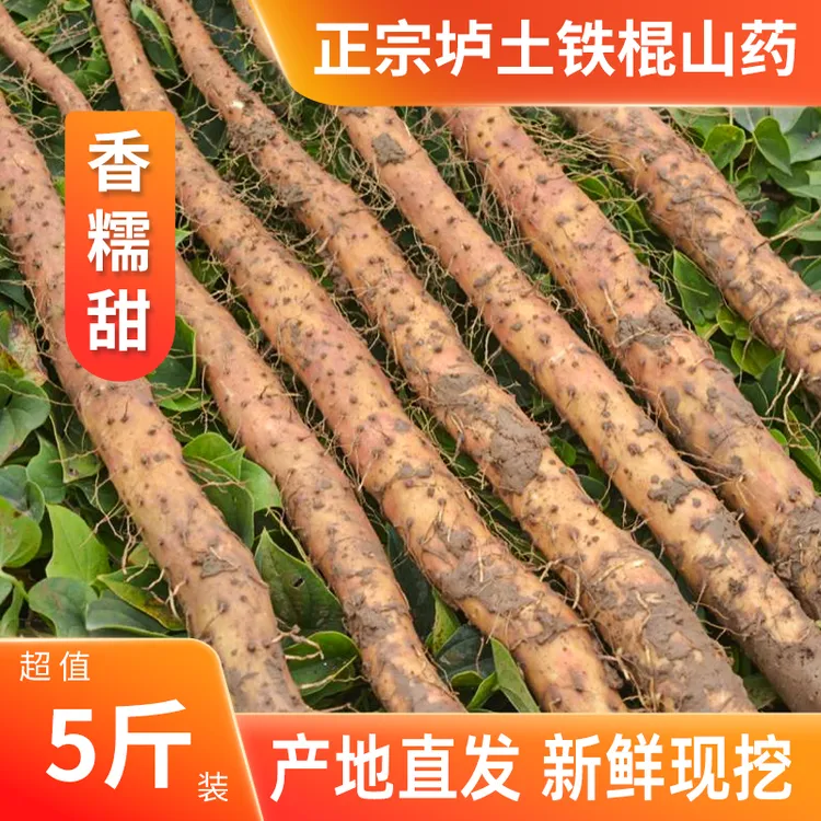 正宗河南焦作垆土铁棍山药5斤精品 新货温县特产新鲜铁棍怀山药