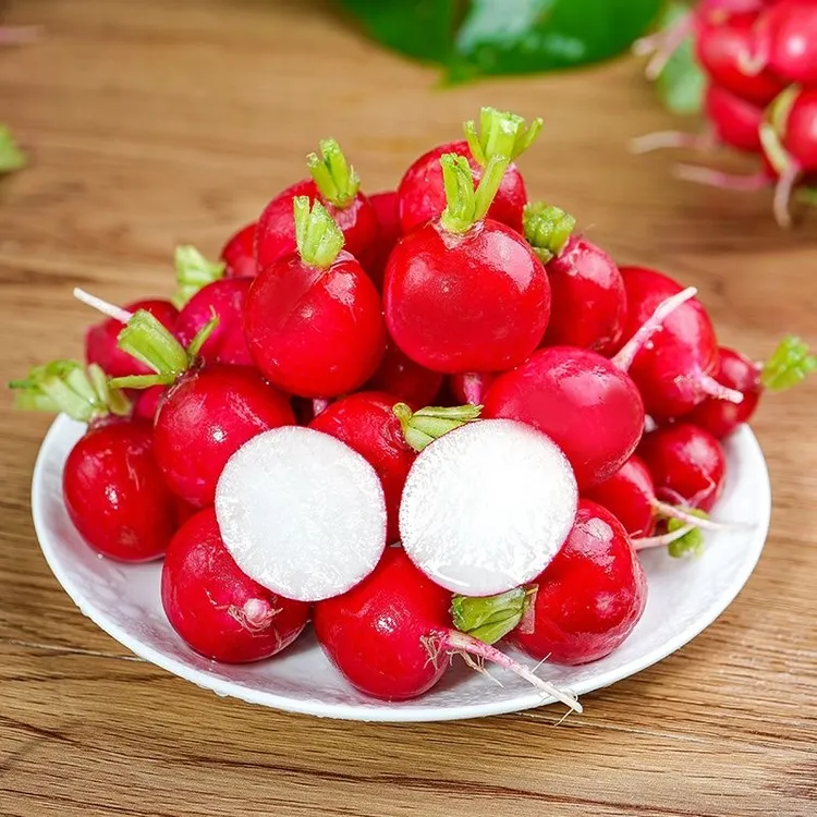 东北新鲜樱桃小萝卜现挖迷你小红萝卜水叶子萝卜蘸酱菜顺丰包邮
