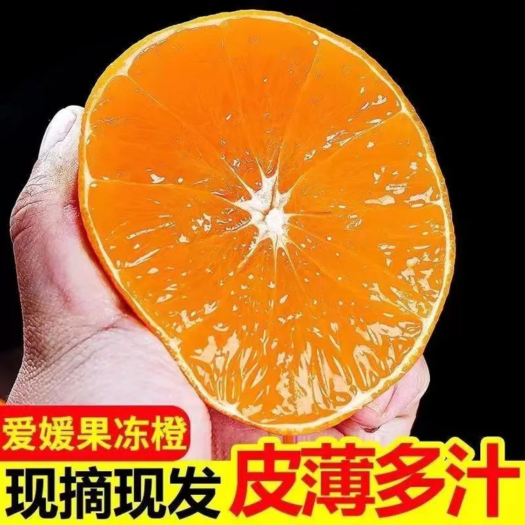 【现摘现发】正宗四川爱媛38号果冻橙橙子橘子酸甜可口八分甜2分酸