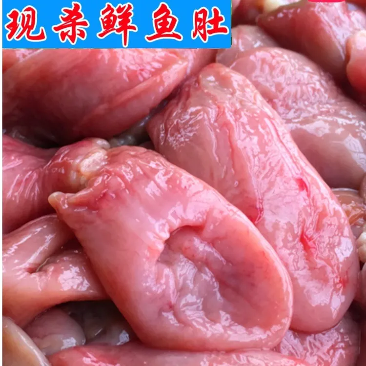 顺丰新鲜鱼肚深海石斑鱼肚三斤海鲜水产鲜冻鱼肚好吃鱼杂真空鱼泡