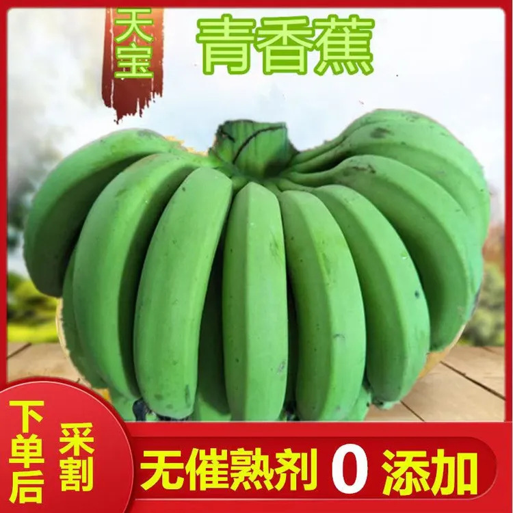 福建天宝香蕉自然成熟新鲜采摘食用果香饱满高山甜香蕉5斤包邮