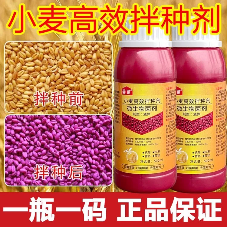 小麦拌种剂专用种子包衣剂种衣剂微生物菌剂料枯草芽孢杆菌农用