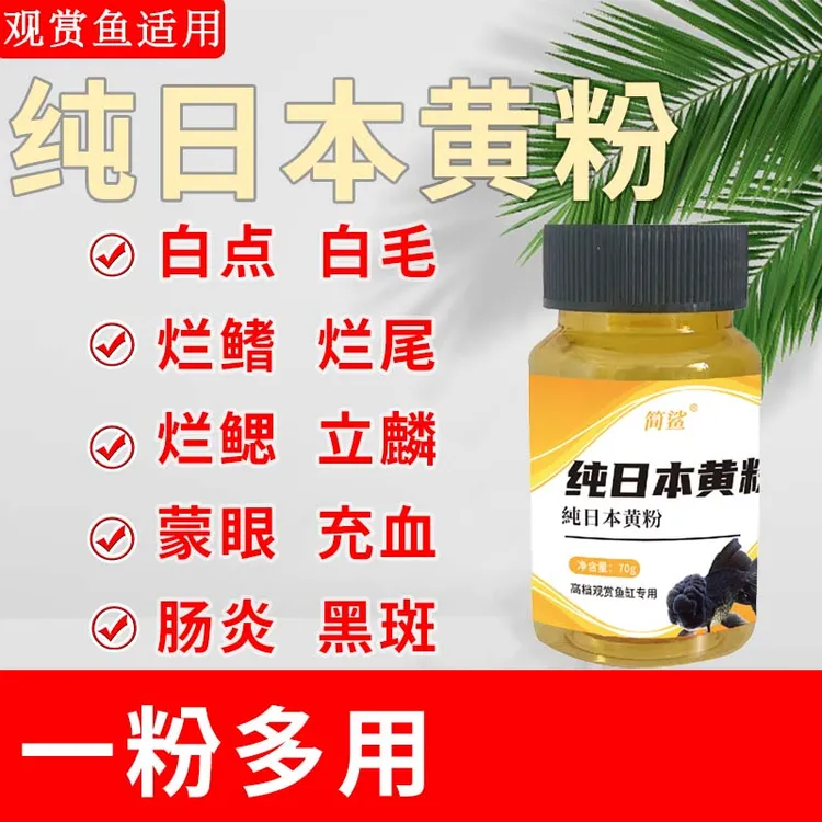 简鲨纯日本1黄1粉鱼用黄粉粉鱼类立麟烂鳍烂尾白点白毛充血