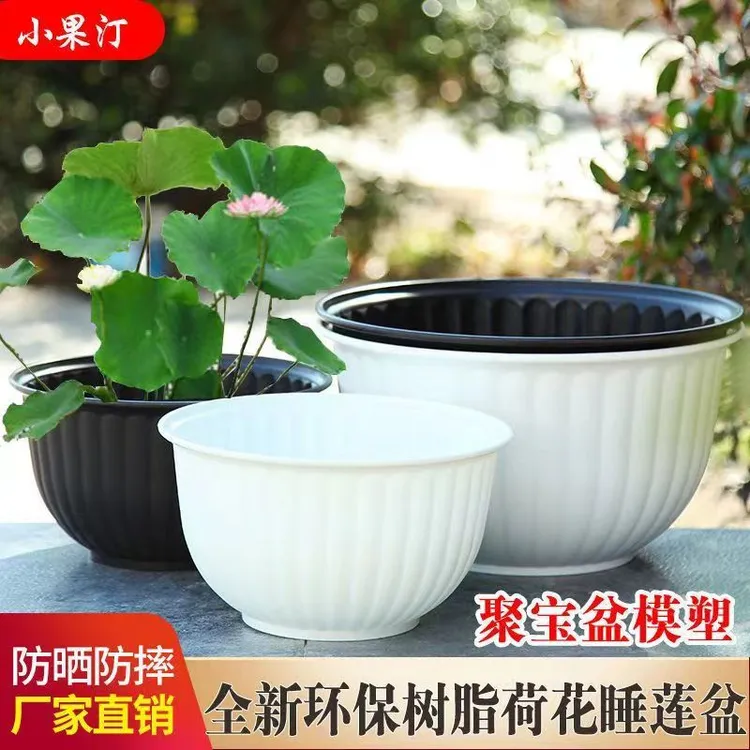 小果汀无孔水培盆荷花睡莲铜钱草碗莲盆缸小金鱼无孔大号树脂花盆