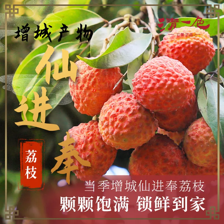 【顺丰冷链空运】爽脆清甜增城发仙进奉荔枝航空到家3斤礼盒送礼