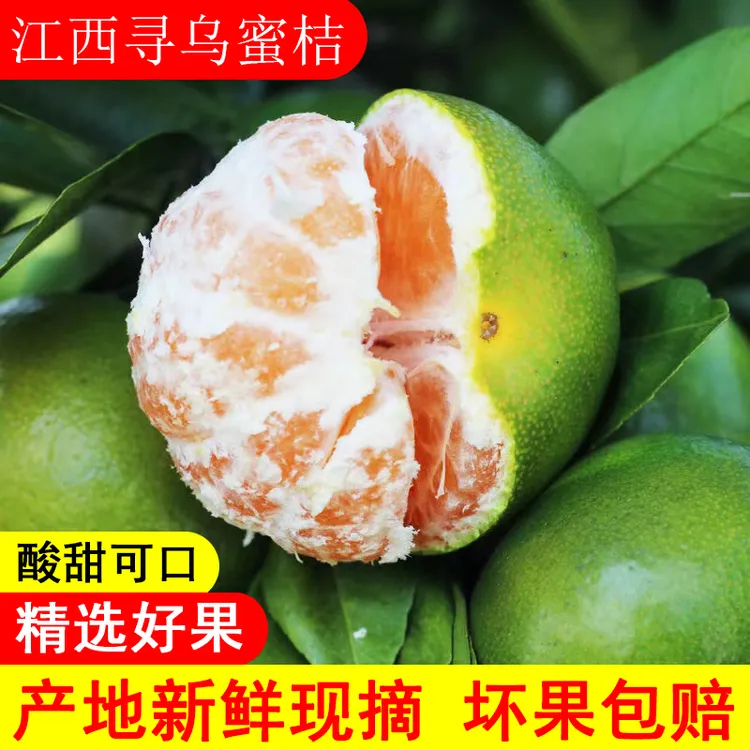 江西寻乌青皮蜜橘新鲜应季孕妇水果皮薄桔子酸甜多汁橘子3/5斤装