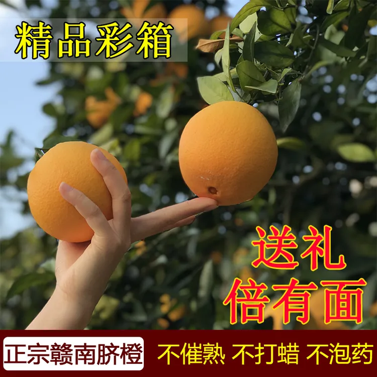 地标正品聚乐鲜正宗新鲜赣南脐橙应季水果包邮江西橙子产地直发5/9斤包邮