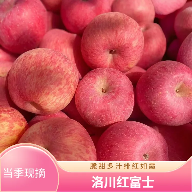 【新店福利买5斤送5斤】洛川红富士苹果 产地直发脆甜多汁香甜可口