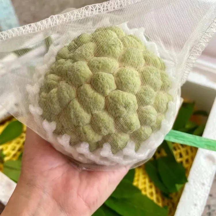 樟林林檎潮汕大目释迦果成熟番荔枝甜糯现摘现发5斤装放熟皮软吃