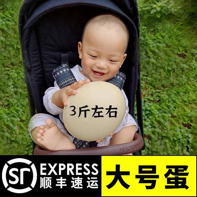 新鲜鸵鸟蛋超大号立夏撞蛋王中秋国庆节礼品物高端食材食用驼鸟蛋