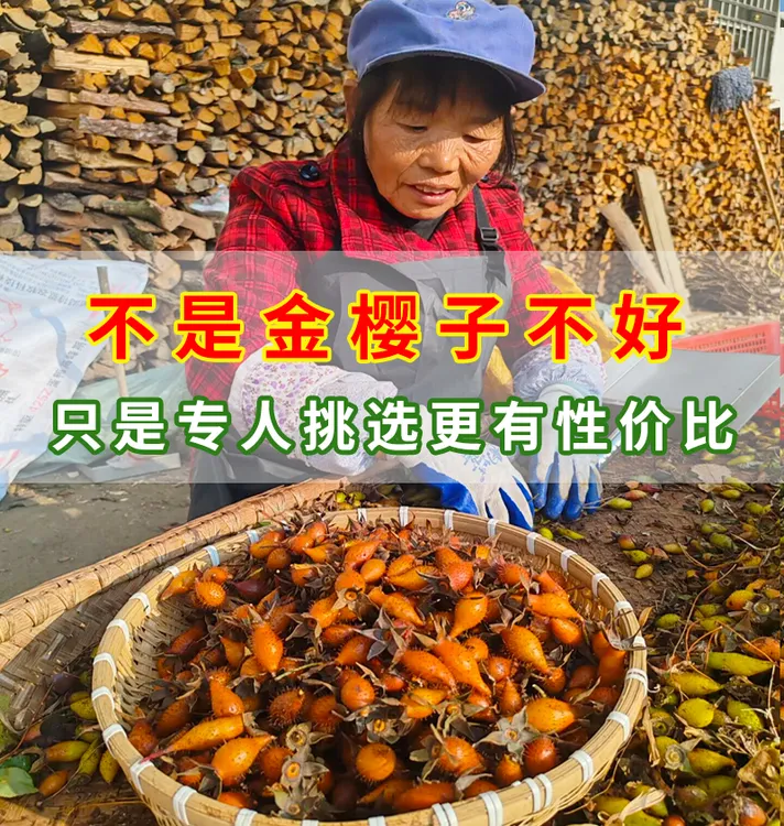 新鲜金樱子农家山区现摘刺梨果糖罐子男女人泡酒金英子挑选全红果