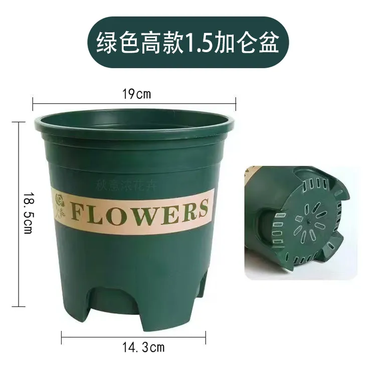 高控根1.5加仑盆 外径19.5高度19种玫瑰月季三角梅3个盆送2个盆