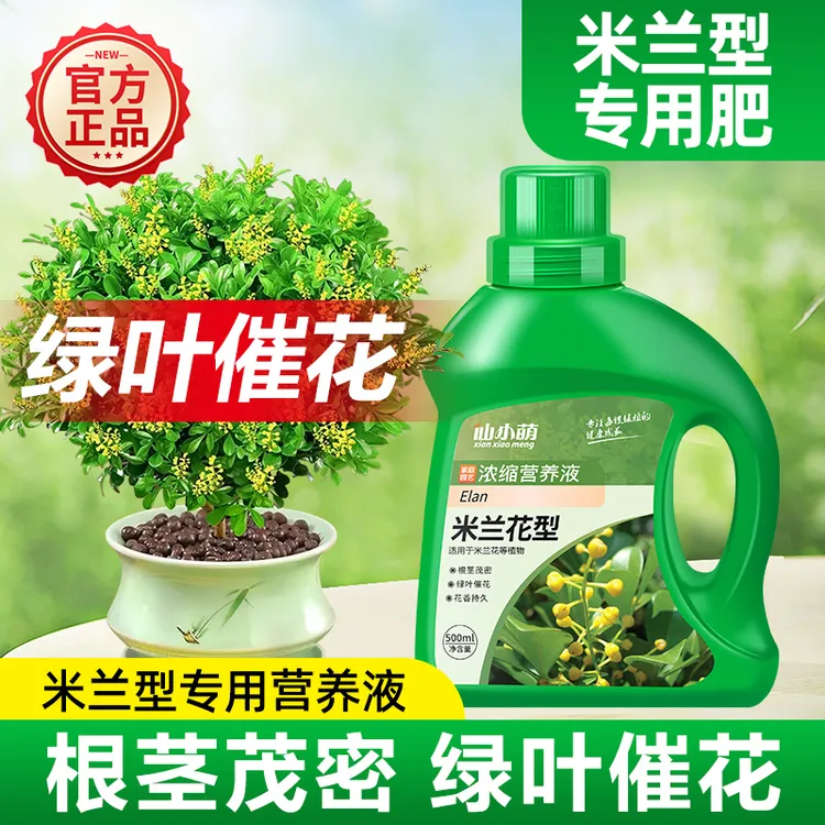 米兰花专用营养液花肥米兰肥料米兰花专用肥盆栽香型烈风四季米兰