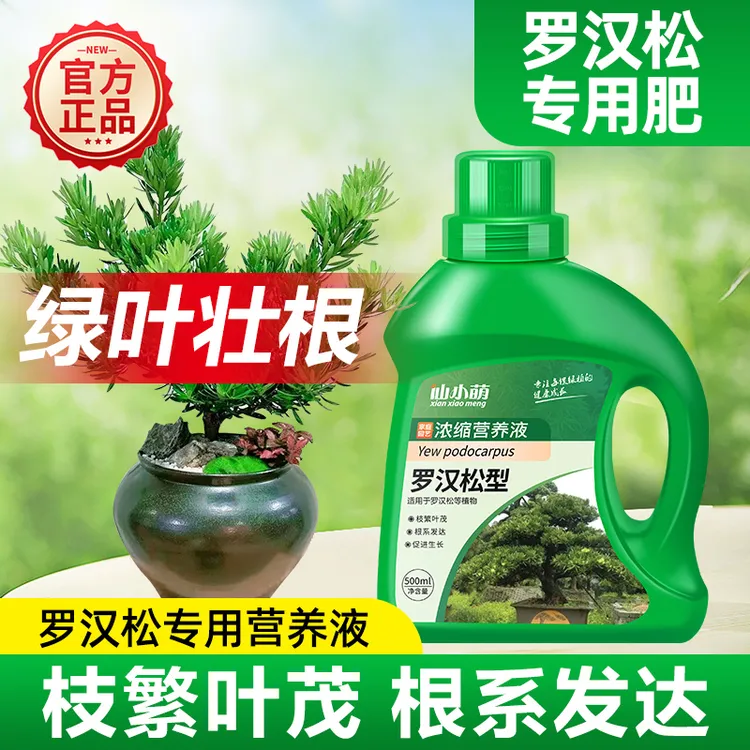 罗汉松专用营养液有机肥料黄化室内盆栽植物通用型家用盆栽肥料