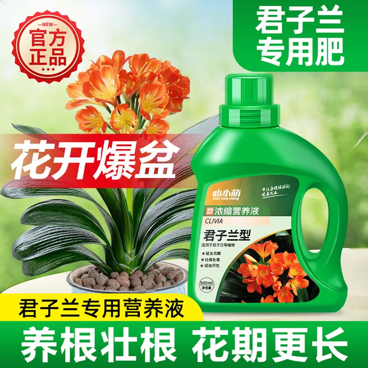 君子兰肥料专用肥营养液促箭剂开花催花上箭治黄叶家用花卉盆栽肥