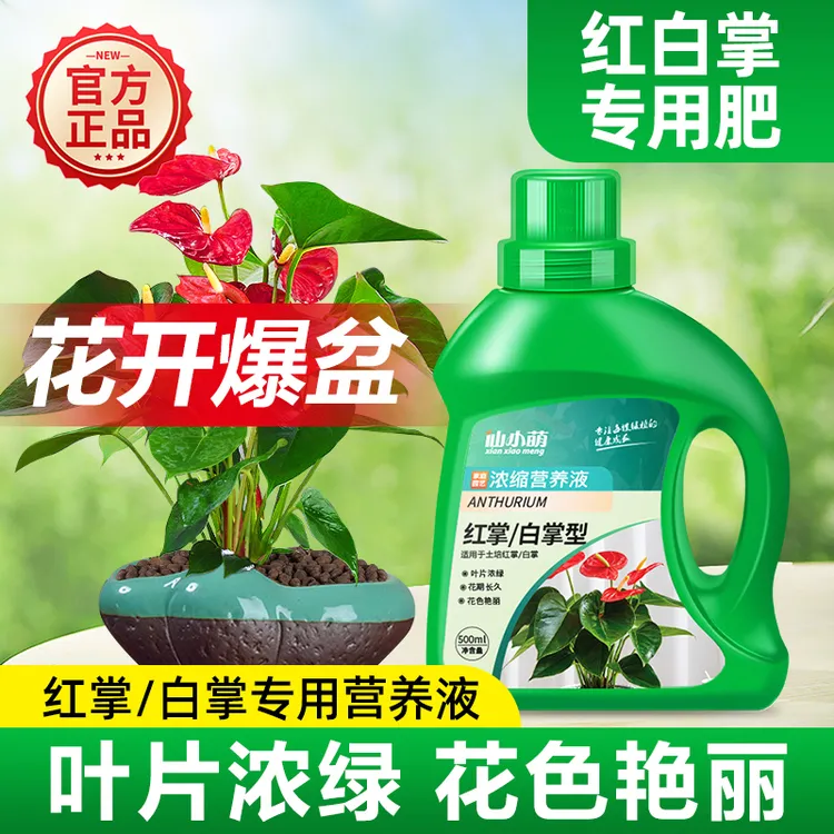 红掌专用肥料白掌一帆风顺营养液专用肥家用盆栽养花土培水培通用