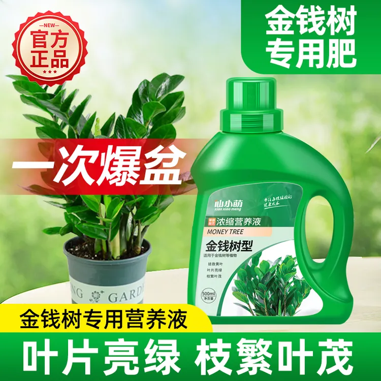 金钱树专用肥料营养液植物通用家用室内盆栽养花发财树防黄叶花肥