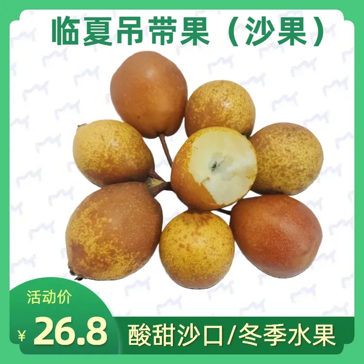 兰州吊蛋儿梨吊带沙梨小酸梨黑果子甘肃特产新鲜水果噎人梨5斤装