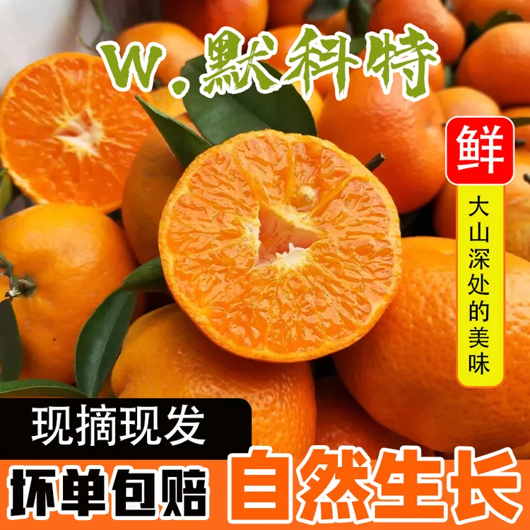 正宗重庆W.默科特新鲜美味成熟饱满酸甜可口阳光自然果园直发精品