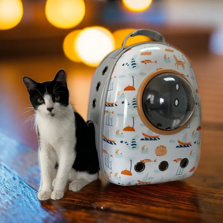 猫咪外出便携透气宠物背包大容量双肩包猫笼子狗狗太空舱猫背包