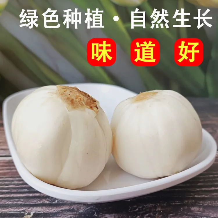 兰州新鲜百合袋装500g香甜清甜煲粥