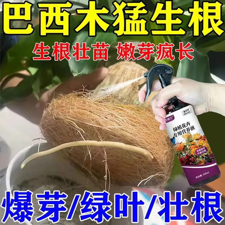 巴西木营养液专用促芽剂生长液促发芽助生长治底部发黑免稀释肥料