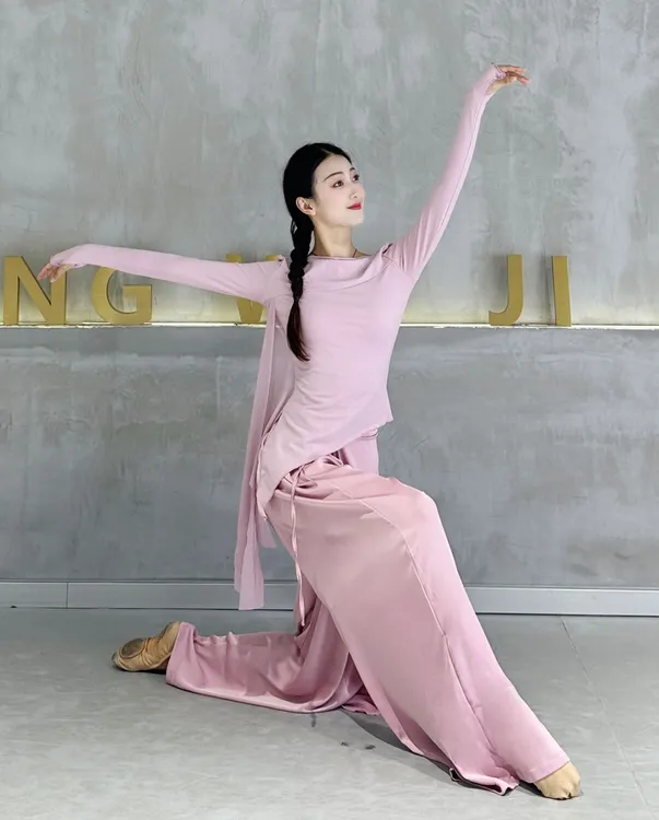 古典舞练功服显瘦气质长袖修身舞蹈服舞服弹性瑜伽上衣形体训练服