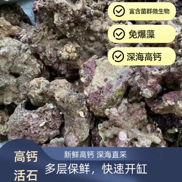免爆藻活石新鲜高钙深海直采微生物集聚海水缸鱼缸开缸造景微