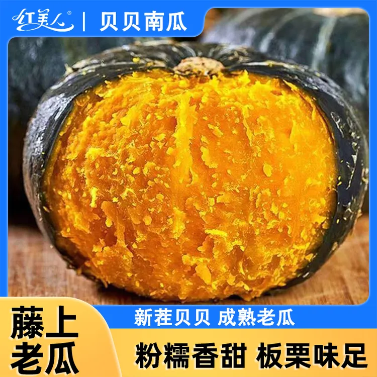 青钻粉糯南瓜 贝贝南瓜中的优质品种 板栗味鲜蔬菜宝宝辅食