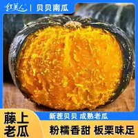 青钻粉糯南瓜 贝贝南瓜中的优质品种 板栗味鲜蔬菜宝宝辅食