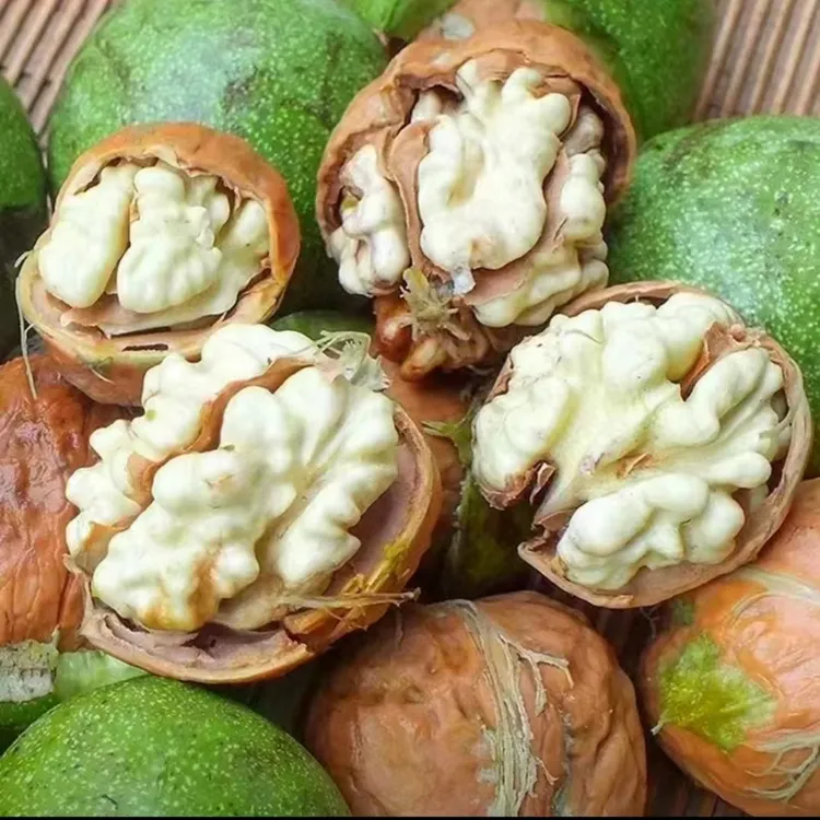 云南高山新鲜核桃