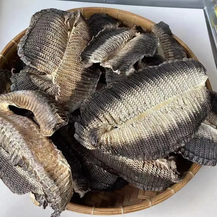 虾鹏彭朋鳃蝠鲼鳃角鱼鳃畚斗鱼鳃鱼鳃海味海鲜干货湛江膨鱼鳃