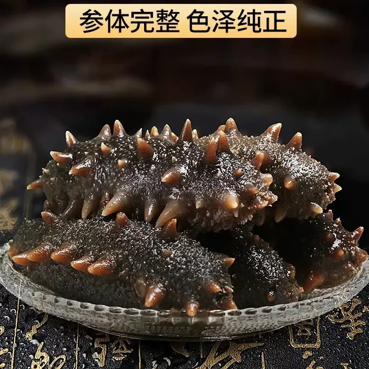 10头刺参 解冻海参冷冻水产肉质鲜美口感爽滑500g