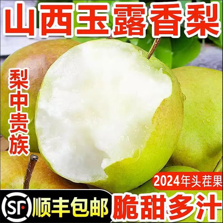 【高山产地】山西隰县无渣爆汁老树苹果梨/玉露香梨11/12/10/8枚装