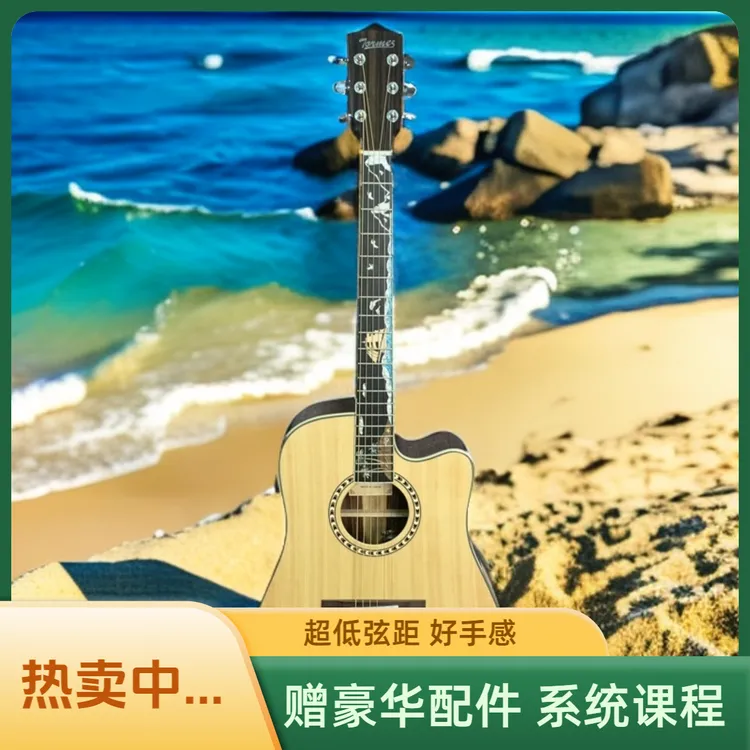 Tormes|托梅斯T-1民谣初学入门桑特斯玫瑰木精品面单吉他民谣吉他