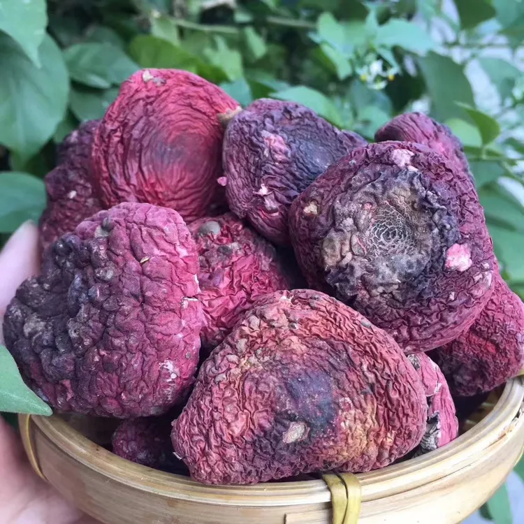渔鲜达三明红菇500G原味晒干食用菌菇类营养特产鲜香红姑