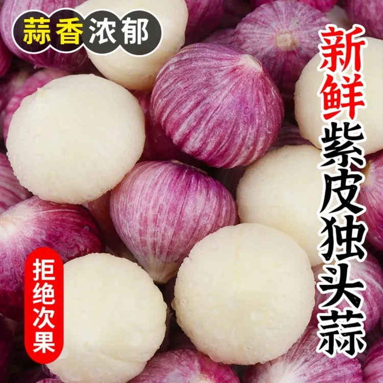 2024云南大理紫皮独头蒜现挖现发带泥发货挑选蒜香味种植精选