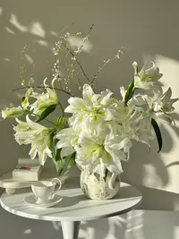 【艾莎重瓣百合】浪漫之星/纯白色底色上带有绿色条纹/清新高雅