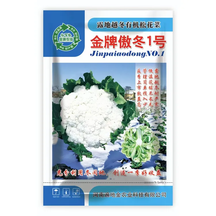 露地反季节种植越冬耐寒松花菜品种金牌傲冬1号种子蔬菜