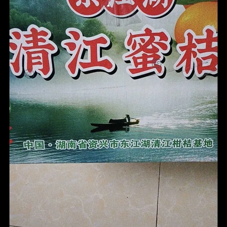 湖南正宗东江湖皮薄无籽多汁特早基地采摘桔子橘子整箱包邮