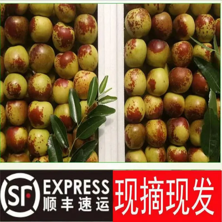 【顺丰京东】陕西大荔冬枣新鲜现摘脆甜冬枣净重3/5斤